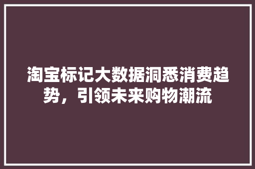 淘宝标记大数据洞悉消费趋势，引领未来购物潮流  第1张