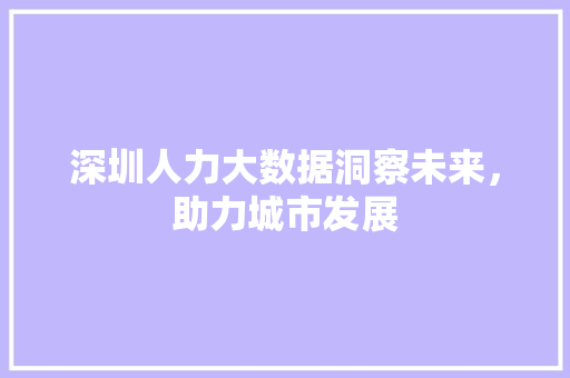 深圳人力大数据洞察未来，助力城市发展