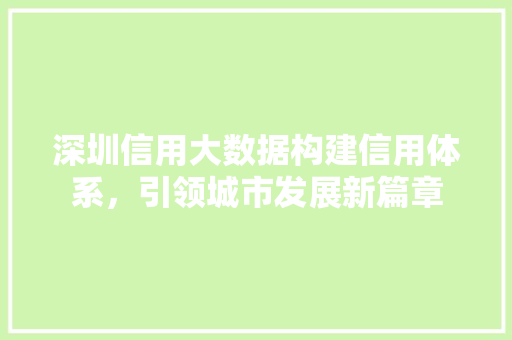 深圳信用大数据构建信用体系，引领城市发展新篇章  第1张