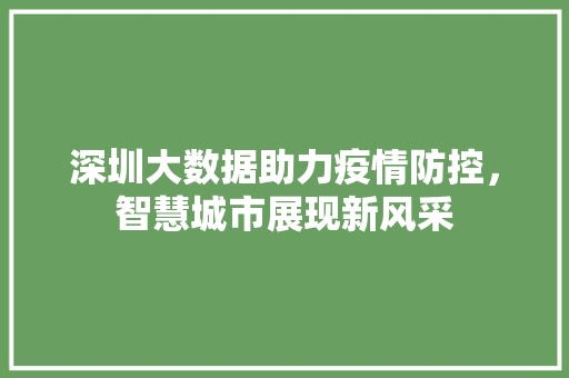 深圳大数据助力疫情防控，智慧城市展现新风采  第1张