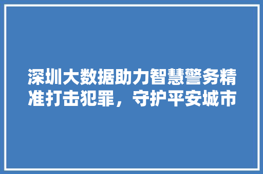 深圳大数据助力智慧警务精准打击犯罪，守护平安城市  第1张