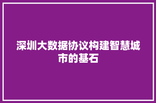 深圳大数据协议构建智慧城市的基石  第1张