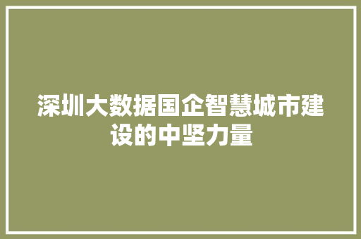 深圳大数据国企智慧城市建设的中坚力量  第1张
