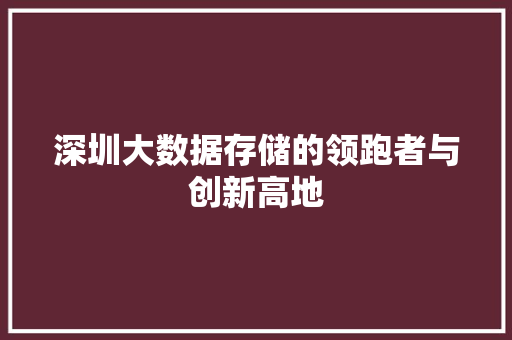 深圳大数据存储的领跑者与创新高地  第1张