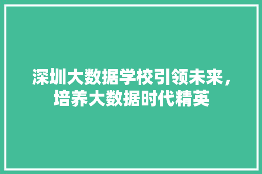 深圳大数据学校引领未来，培养大数据时代精英  第1张