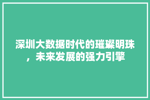 深圳大数据时代的璀璨明珠，未来发展的强力引擎  第1张