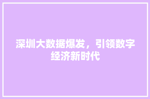 深圳大数据爆发，引领数字经济新时代  第1张