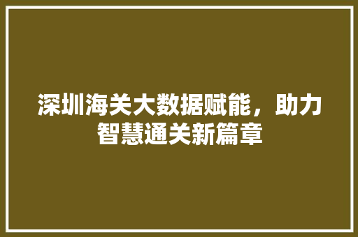 深圳海关大数据赋能，助力智慧通关新篇章  第1张