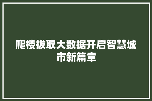 爬楼拔取大数据开启智慧城市新篇章