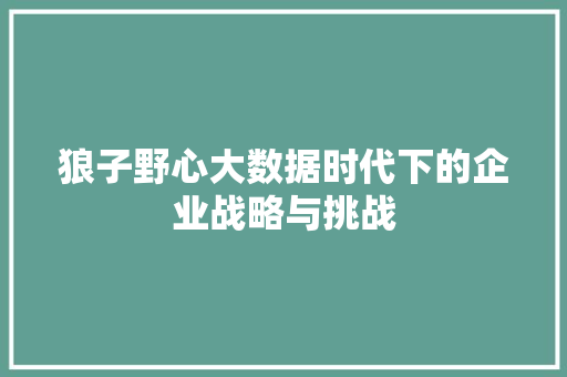 狼子野心大数据时代下的企业战略与挑战  第1张