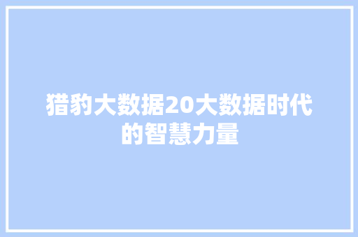 猎豹大数据20大数据时代的智慧力量