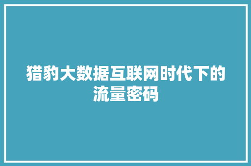 猎豹大数据互联网时代下的流量密码
