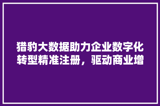 猎豹大数据助力企业数字化转型精准注册，驱动商业增长新引擎