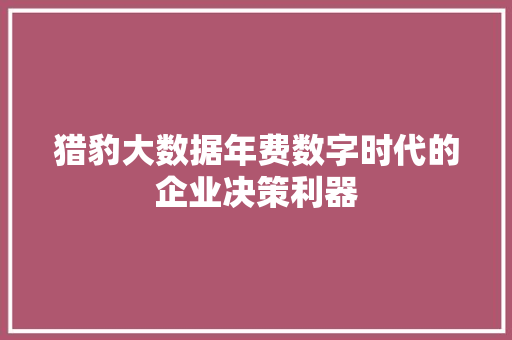 猎豹大数据年费数字时代的企业决策利器