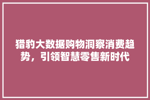 猎豹大数据购物洞察消费趋势，引领智慧零售新时代