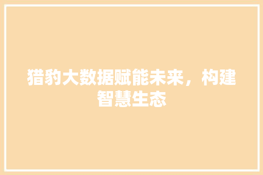 猎豹大数据赋能未来，构建智慧生态