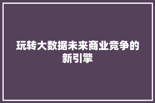 玩转大数据未来商业竞争的新引擎  第1张