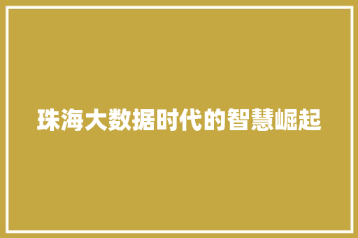 珠海大数据时代的智慧崛起  第1张