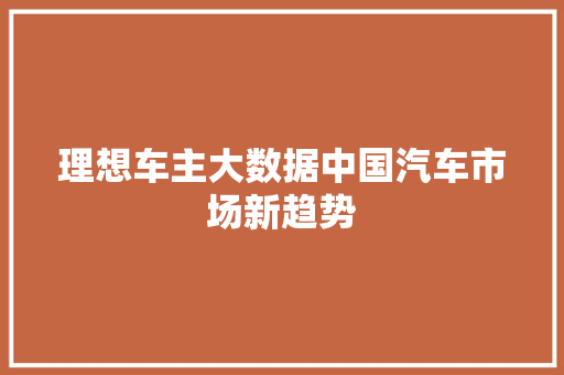 理想车主大数据中国汽车市场新趋势  第1张