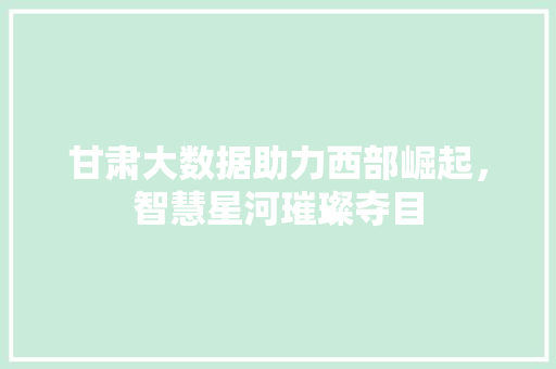 甘肃大数据助力西部崛起，智慧星河璀璨夺目  第1张