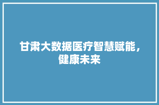 甘肃大数据医疗智慧赋能，健康未来  第1张