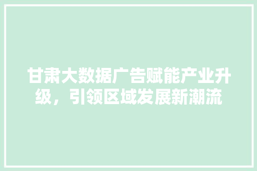 甘肃大数据广告赋能产业升级，引领区域发展新潮流  第1张