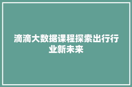 滴滴大数据课程探索出行行业新未来  第1张