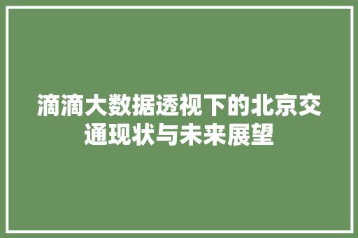 滴滴大数据透视下的北京交通现状与未来展望  第1张