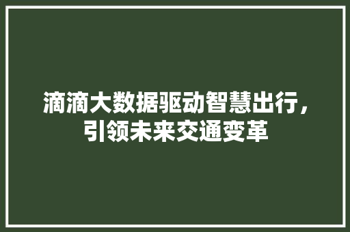滴滴大数据驱动智慧出行，引领未来交通变革  第1张