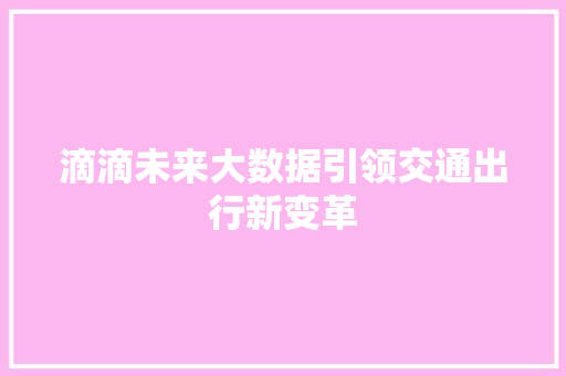 滴滴未来大数据引领交通出行新变革  第1张
