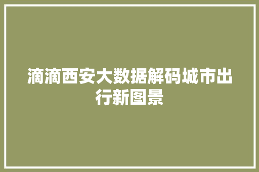 滴滴西安大数据解码城市出行新图景  第1张