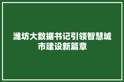 潍坊大数据书记引领智慧城市建设新篇章  第1张