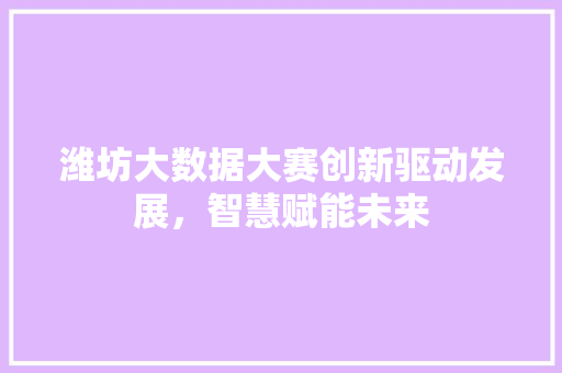 潍坊大数据大赛创新驱动发展，智慧赋能未来  第1张