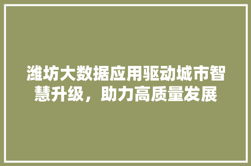 潍坊大数据应用驱动城市智慧升级，助力高质量发展  第1张