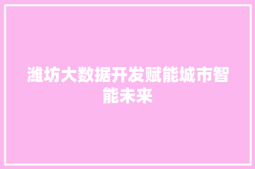 潍坊大数据开发赋能城市智能未来  第1张