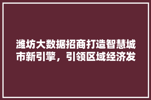 潍坊大数据招商打造智慧城市新引擎，引领区域经济发展新篇章  第1张