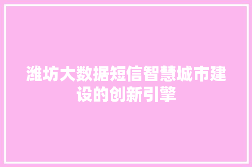 潍坊大数据短信智慧城市建设的创新引擎  第1张