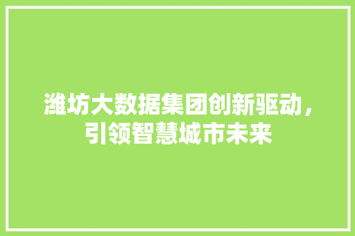 潍坊大数据集团创新驱动，引领智慧城市未来  第1张