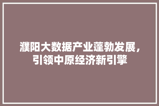 濮阳大数据产业蓬勃发展，引领中原经济新引擎  第1张