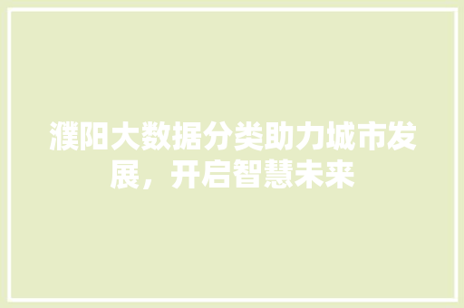 濮阳大数据分类助力城市发展，开启智慧未来  第1张