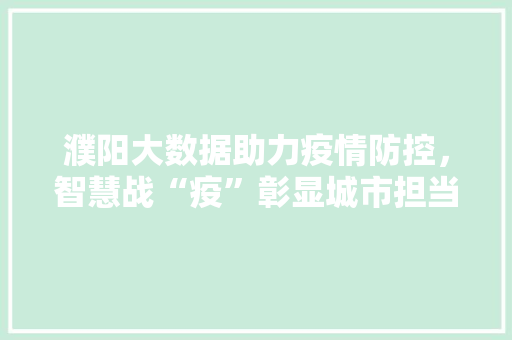 濮阳大数据助力疫情防控，智慧战“疫”彰显城市担当  第1张