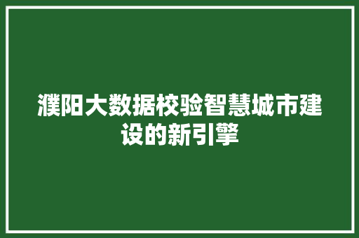 濮阳大数据校验智慧城市建设的新引擎