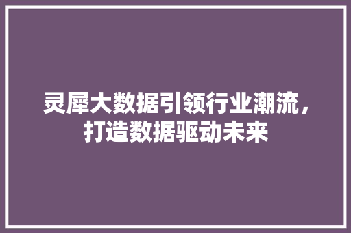 灵犀大数据引领行业潮流，打造数据驱动未来  第1张