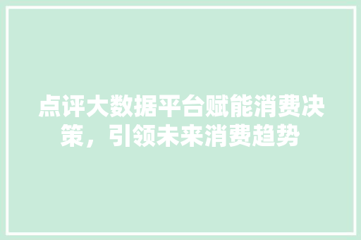 点评大数据平台赋能消费决策，引领未来消费趋势