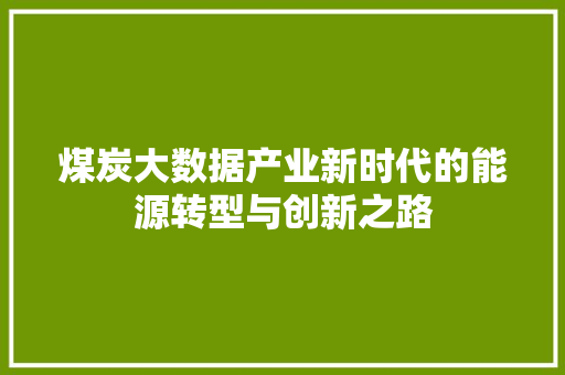 煤炭大数据产业新时代的能源转型与创新之路  第1张