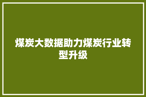 煤炭大数据助力煤炭行业转型升级  第1张