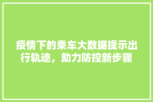 疫情下的乘车大数据提示出行轨迹，助力防控新步骤  第1张