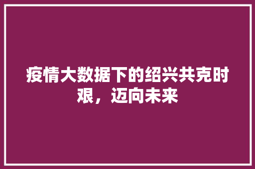 疫情大数据下的绍兴共克时艰，迈向未来  第1张