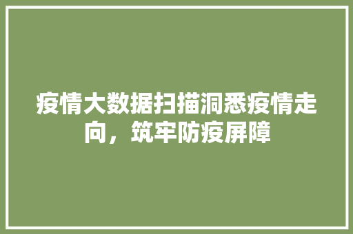 疫情大数据扫描洞悉疫情走向，筑牢防疫屏障  第1张
