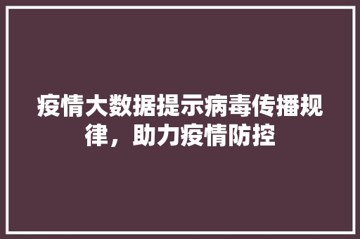 疫情大数据提示病毒传播规律，助力疫情防控  第1张